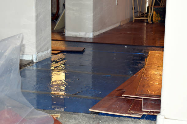 Professional Basement Flood Cleanup technician working in Neffs, OH